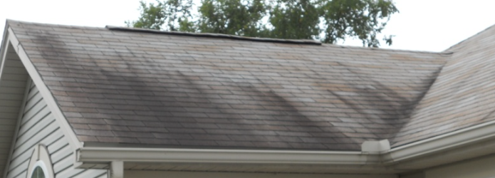photo of black streaks from algae on a shingle roof